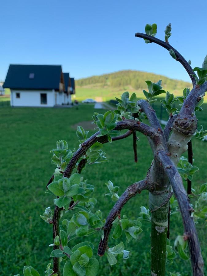 Dobre Miejsce Villa Niedzica Dış mekan fotoğraf