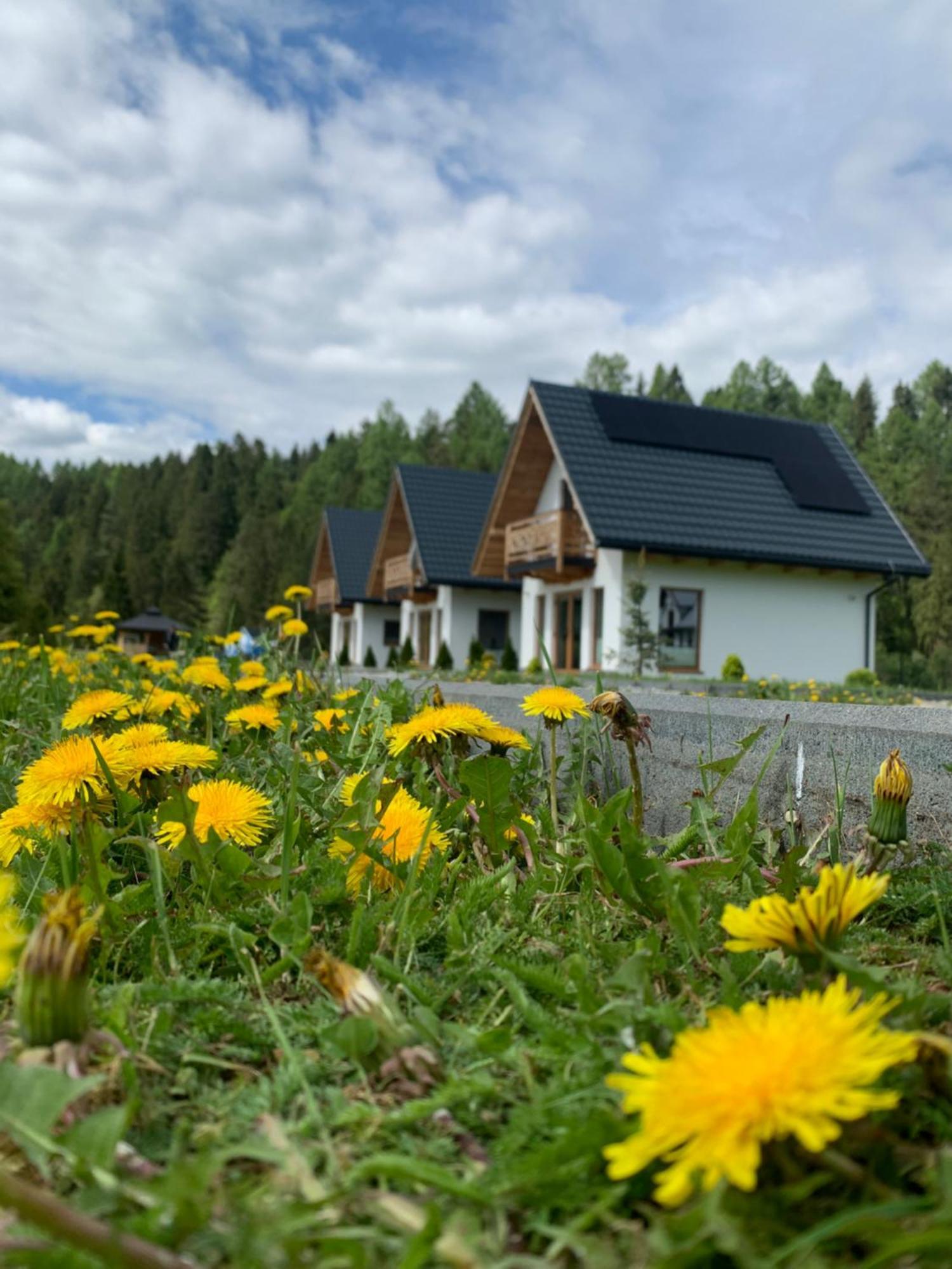 Dobre Miejsce Villa Niedzica Dış mekan fotoğraf